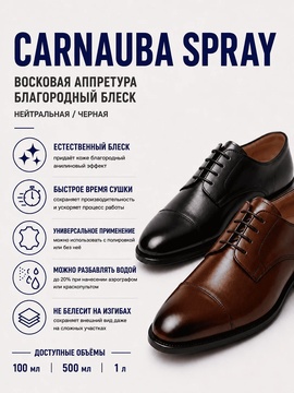 Vlotho CARNAUBA SPRAY Восковая аппретура благородный блеск нейтральная